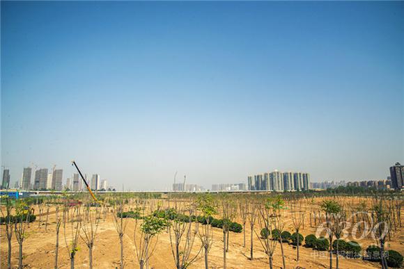 郑州探寻首批<a href=//product.d1cm.com/brand/xcmg/ target=_blank>徐工</a>G一代车主（四）